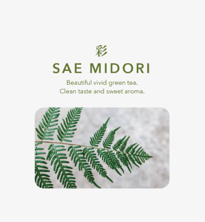 sea-midori